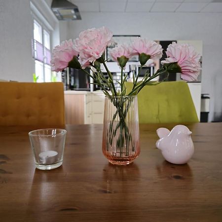 Apartament Sauerlandluft Balve Zewnętrze zdjęcie