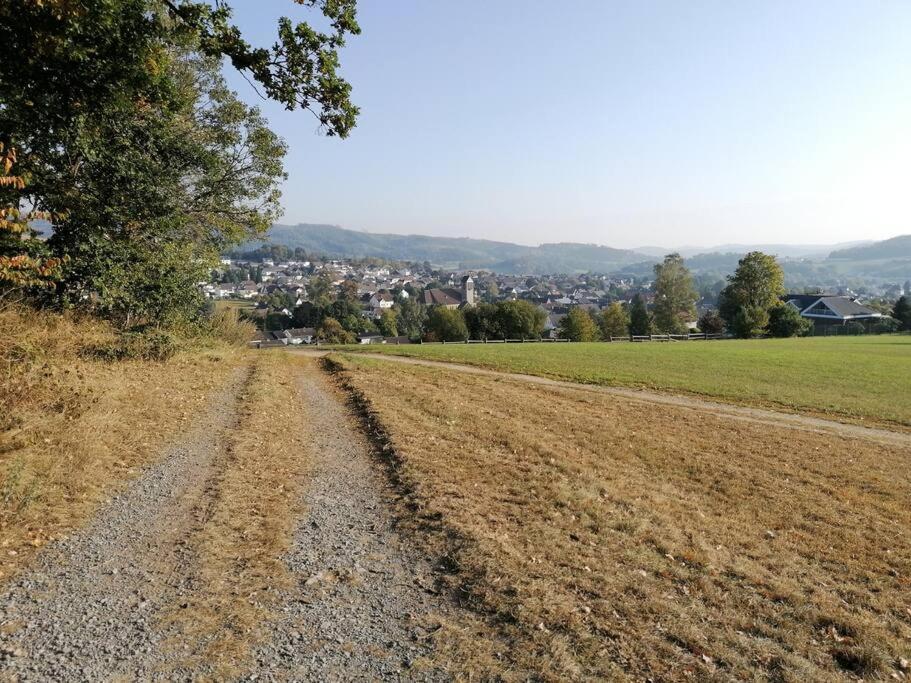 Apartament Sauerlandluft Balve Zewnętrze zdjęcie